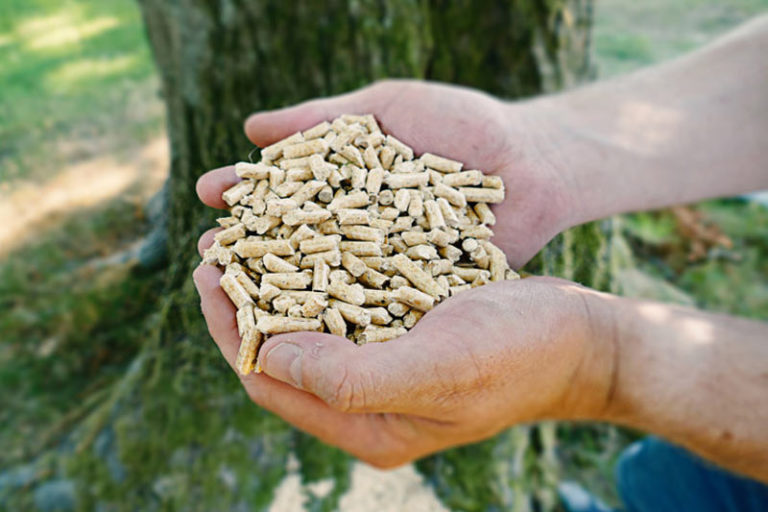 Le pellet et l'écologie