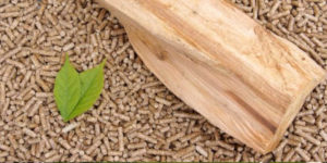reconnaitre pellet qualité 800