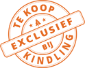exclusief-te-koop-ico-100