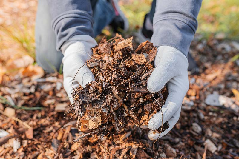 compost