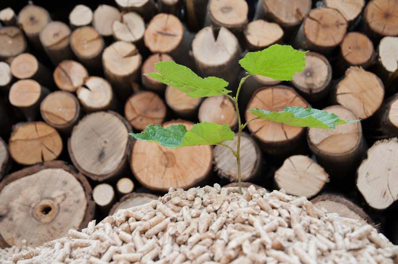 Ecologische beperkingen van pellets