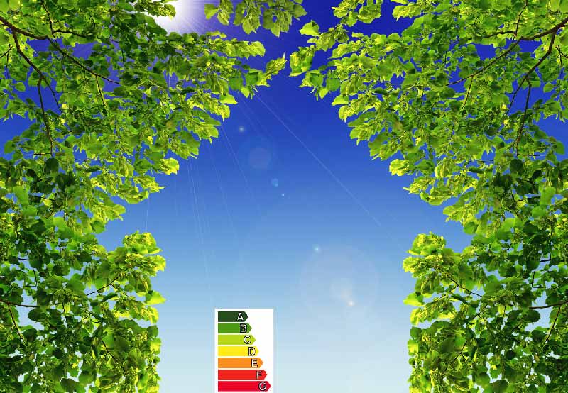 De verschillende financiële steunmaatregelen voor energie-renovatie