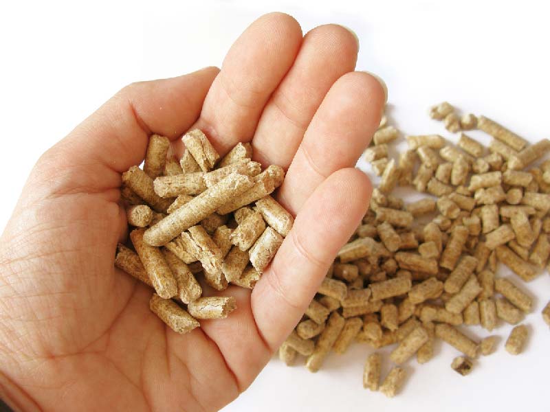 De voordelen van het kiezen voor fsc-gecertificeerde pellets voor uw verwarming