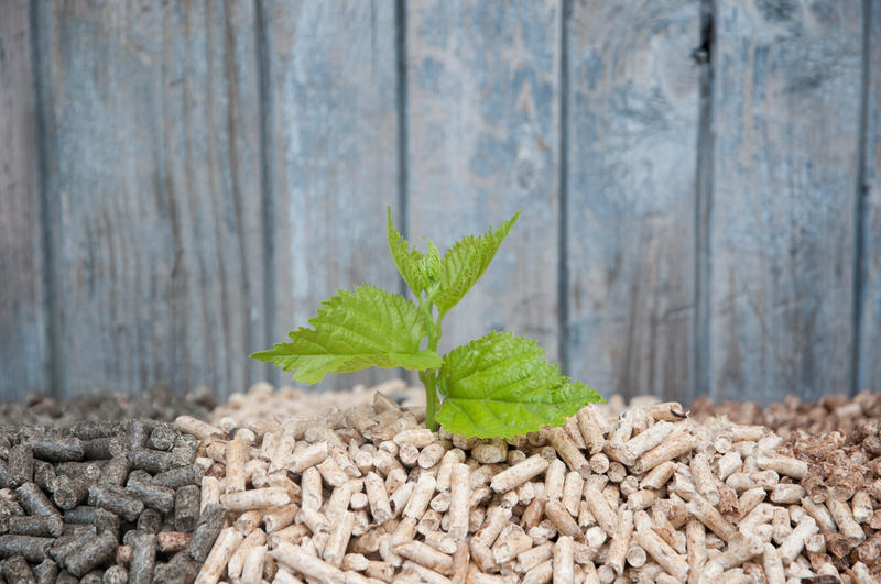 Houtpellets: een ecologisch alternatief om onze koolostvoetafdruk te verminderen