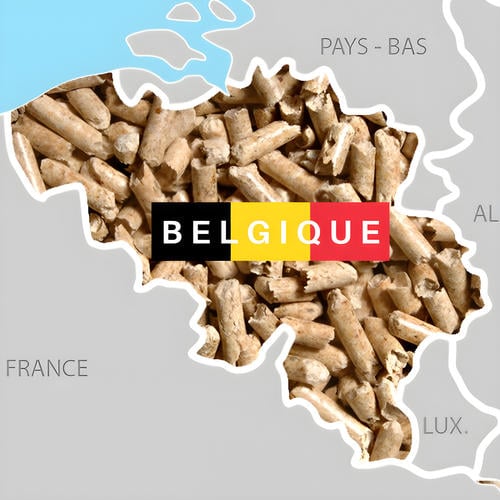 Belgisch energiebeleid en houtpellets