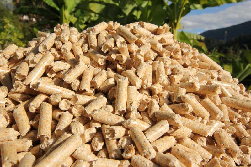 impact pellets policy energy belgium