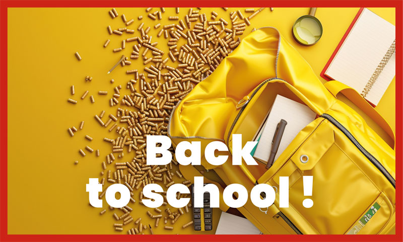 back to school kindling pallets thumb