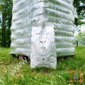 icare-pellets-2