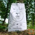 icare-pellets-4