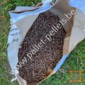 icare-pellets-6