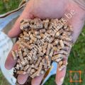 icare-pellets-7