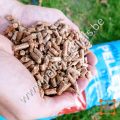 pallet-pellets-engie-5